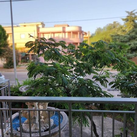 B&B Mazzini Grottaglie Dış mekan fotoğraf